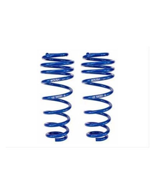 Roush Performance Mustang Rear Springs