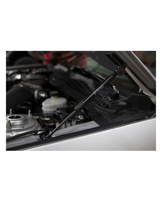 Roush Performance Mustang Hood Strut Kit