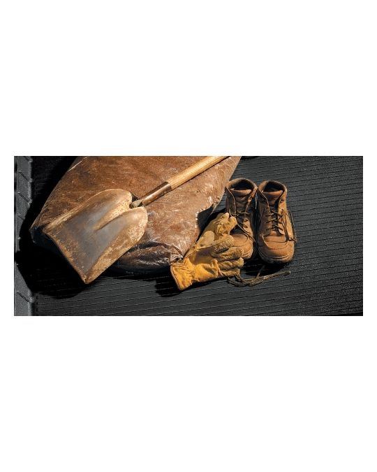 Ford Cargo Area Protector