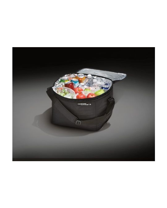 Ford Cargo Organizer - Soft-Sided Cooler Bag - Lincoln Logo