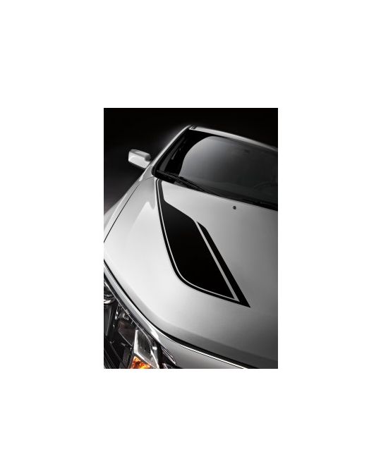 Ford Racing Stripes - Silver With Spoiler
