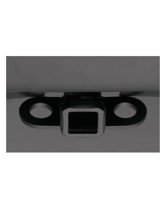 Ford Trailer Hitch