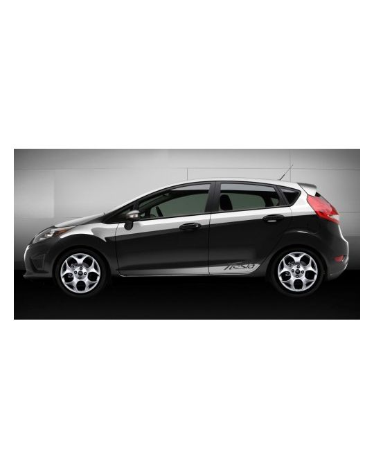 Ford Graphics Kit - Lower Door Stripe - Silver