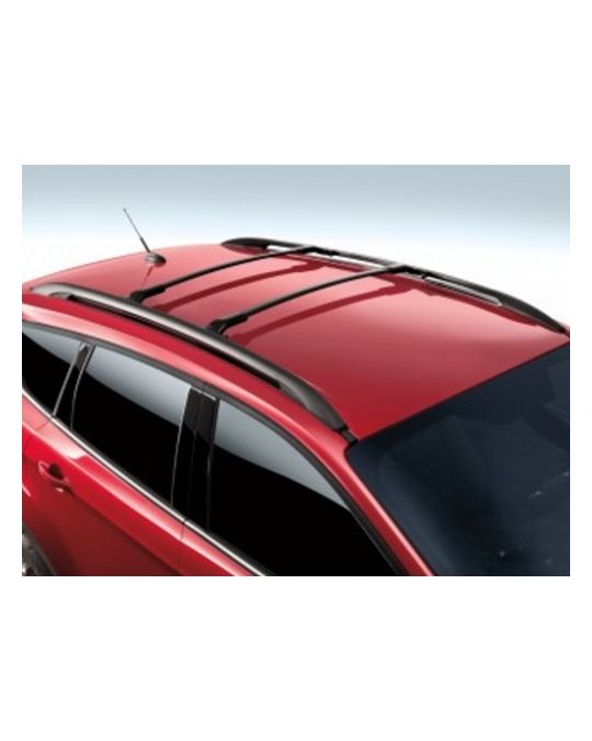 Ford Roof Rails