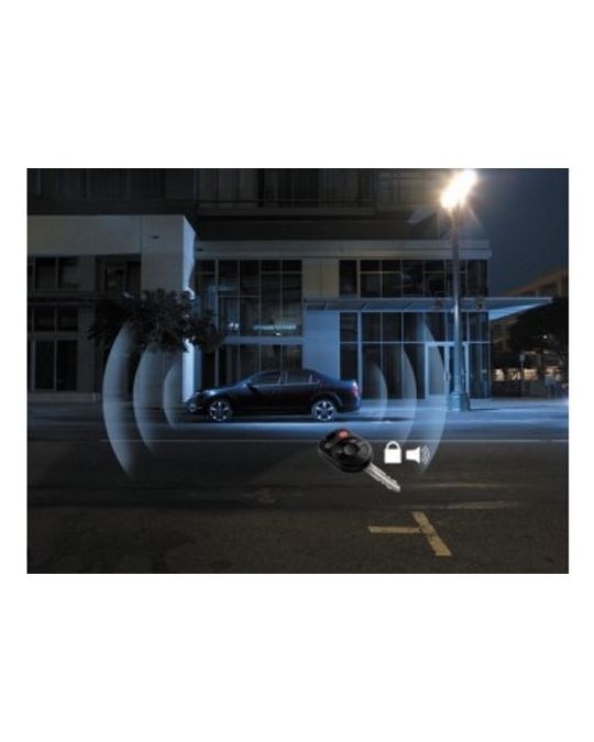 Ford Vehicle Security System