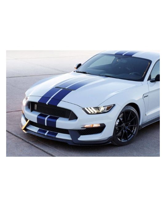 Ford Hood Kit GT350