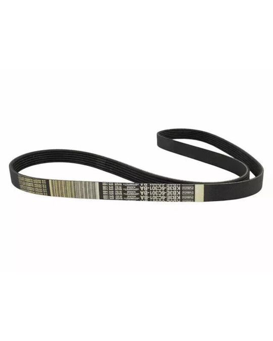 Ford Serpentine Belt - A/C Compressor