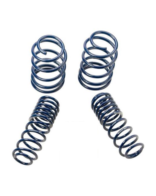 Ford Racing Lowering Springs - Mustang SVT - 1.25''