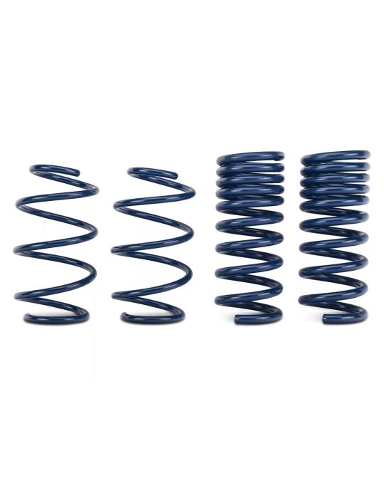Ford Performance Street Lowering Spring Kit For GT And EcoBoost