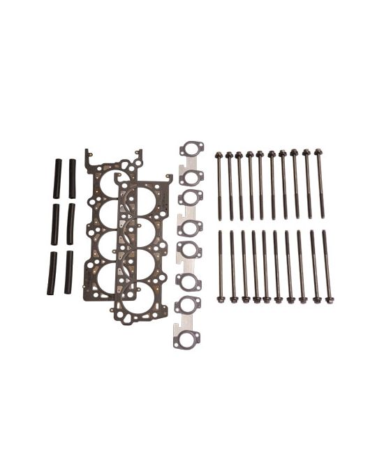 Ford Racing 4.6L 2V SOHC Head Changing Kit