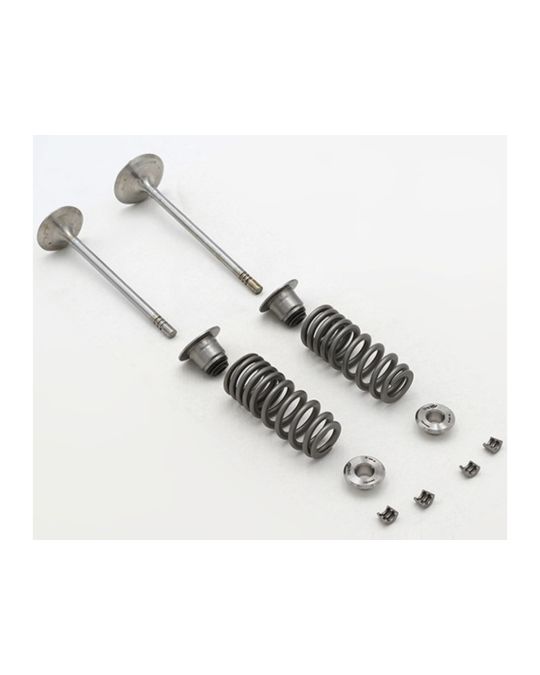 Ford Performance 5.2L Cylinder Head Valve Train Kit