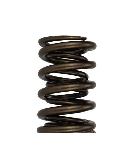 Ford Performance TVS-1734 Valve Spring