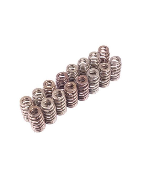 Ford Racing Boss 302R Valve Spring Kit