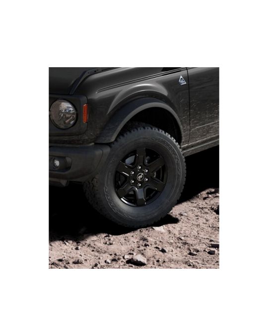 Ford 17" High Gloss Black Painted Aluminum Black Diamond Wheel
