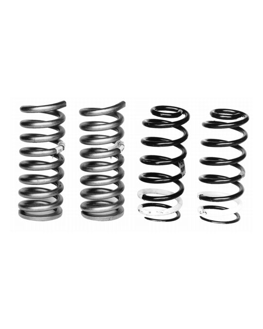Ford Racing Spring Kit