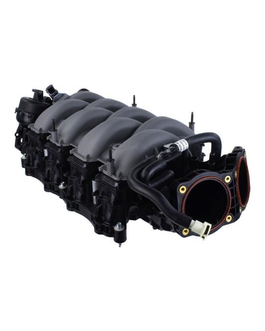 Ford Performance 5.0L Dual Throttle Body Intake Manifold