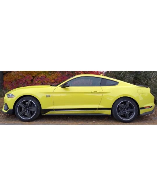 Ford Wheel 19"x10" Mach 1 Base Rear