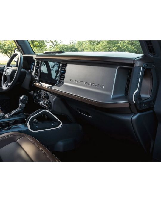 Ford Passenger Assist Handles Oxford White