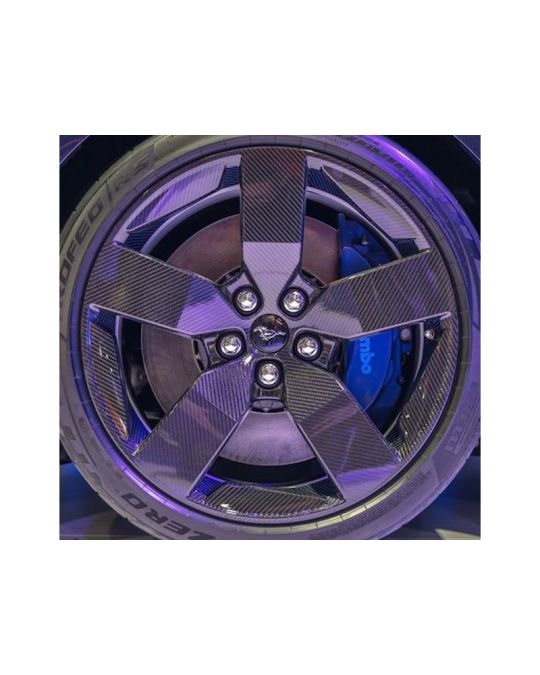 Ford Carbon Fiber Rear Wheel 19" x 11"