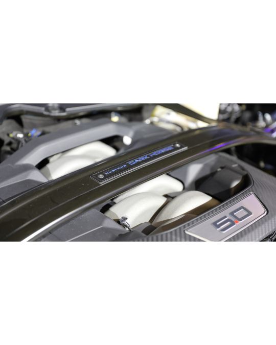 Ford Strut Tower Brace Black With Dark Horse Logo