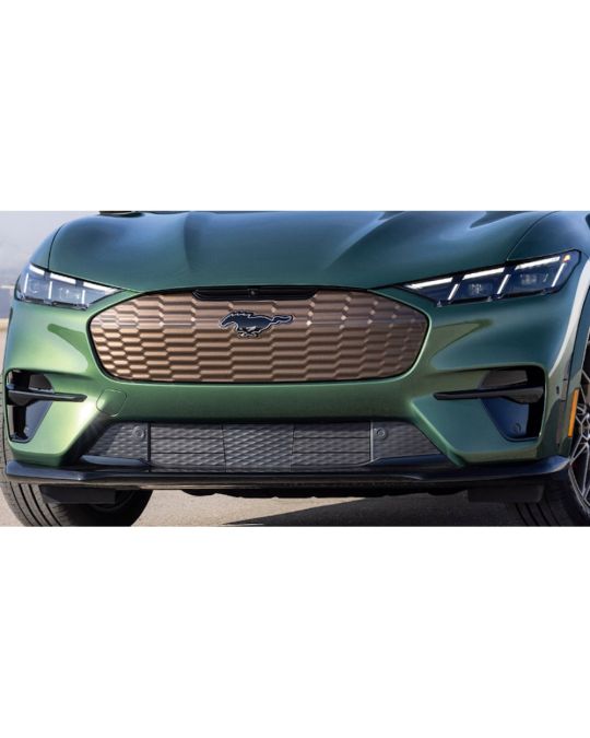 Ford Bronze Edition Grille For GT Models