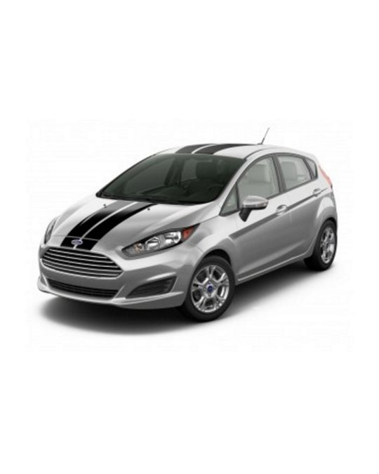 Ford Graphics Kit - Over The Top Stripe - Dual, Matte Black