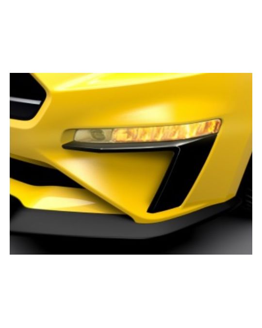Ford Parking Lamp Curtains - Matte Black