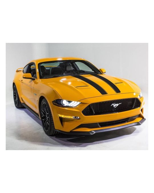 Ford Decal Kit - Hood Stripe - Dual Black