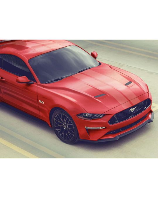 Ford 7-Inch Over The Top Dual Stripe Kit Matte Clear