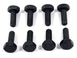 Bolt